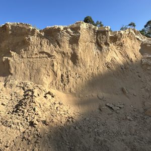 Arena fina cribada acopio (1)