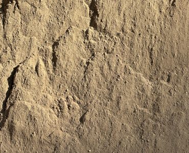 Arena fina cribada detalle