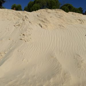 Arena fina lavada para picaeros caballos 1