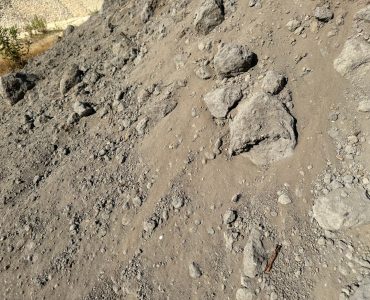 Arena vegetal negra detalle (1)