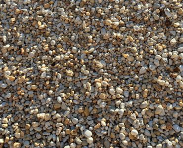 Garbancillo AG 4-16 detalle 3 (1)